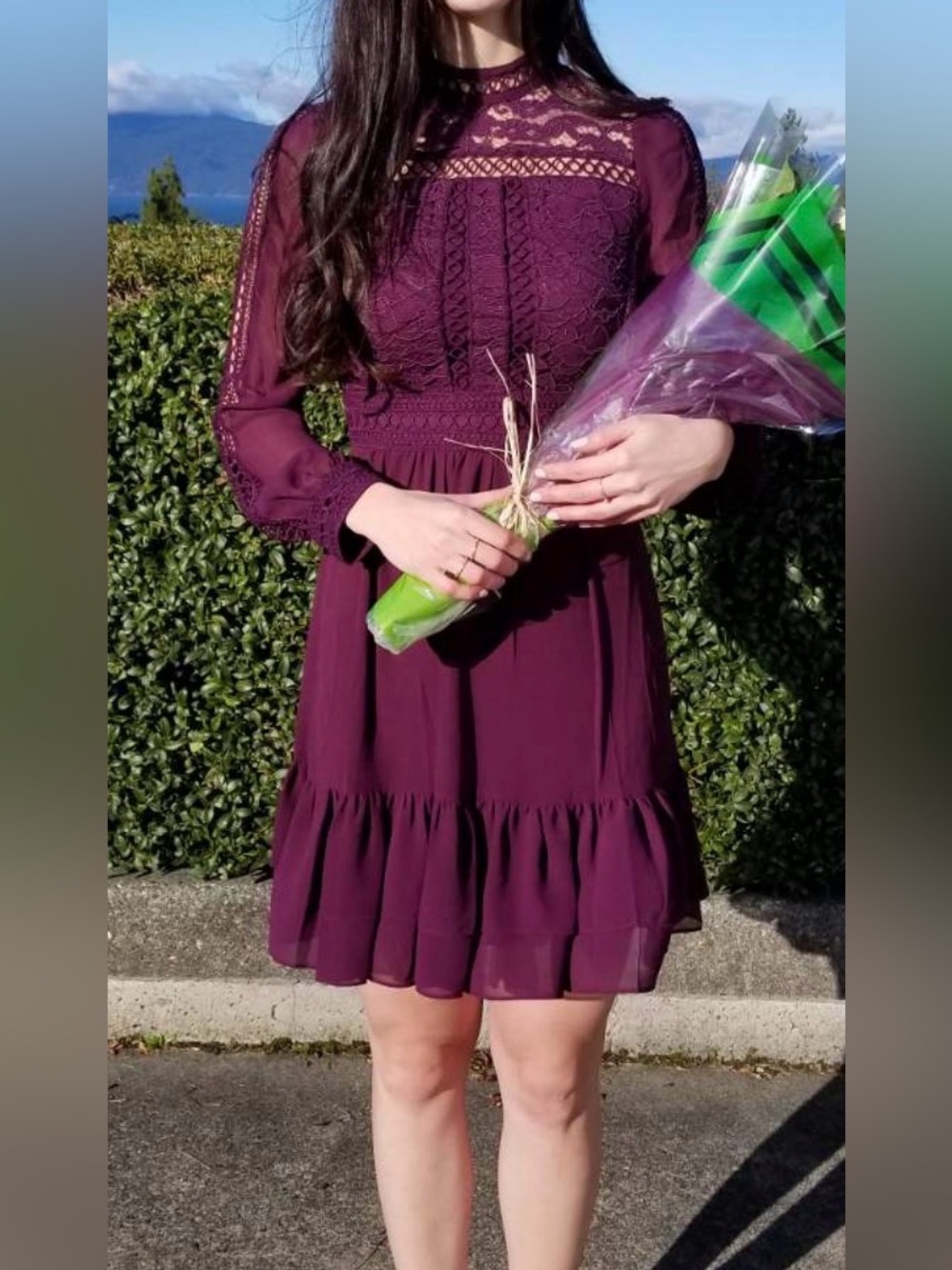 Plum Purple Lace and Ruffle Long Sleeve Dress